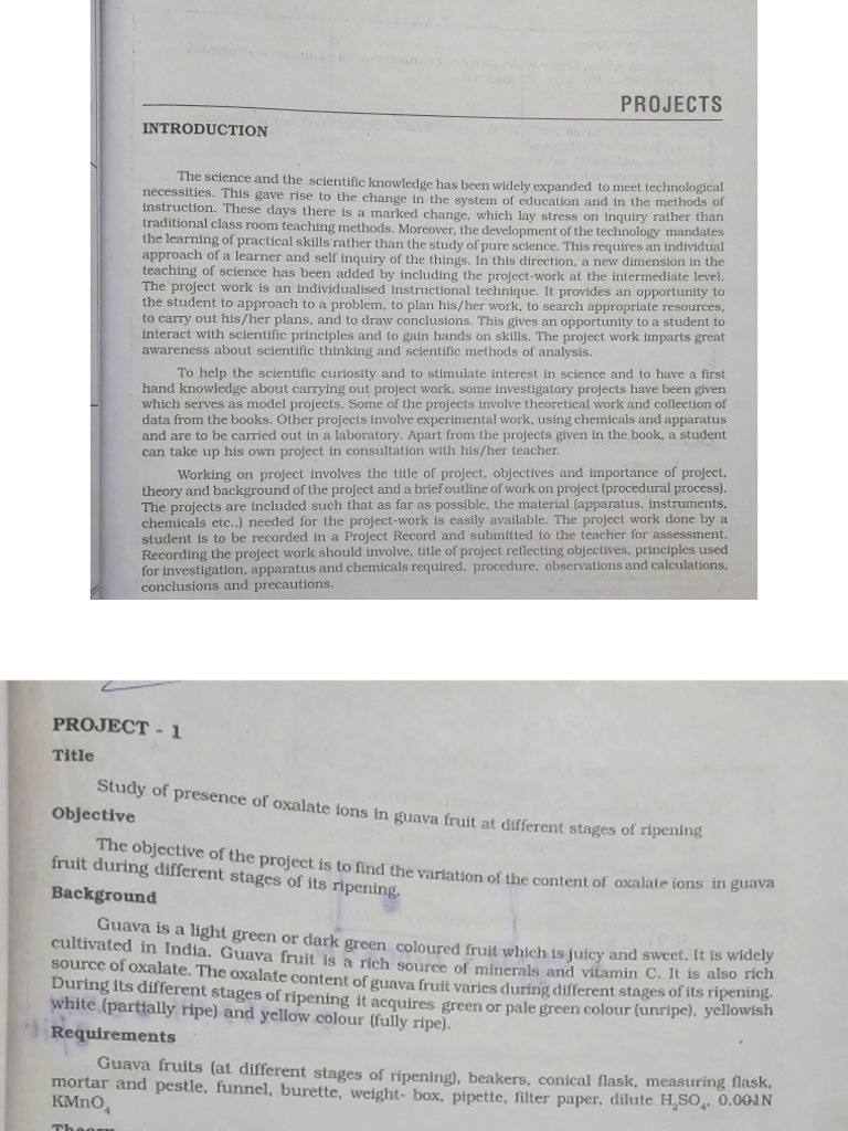 Project 2026 | PDF