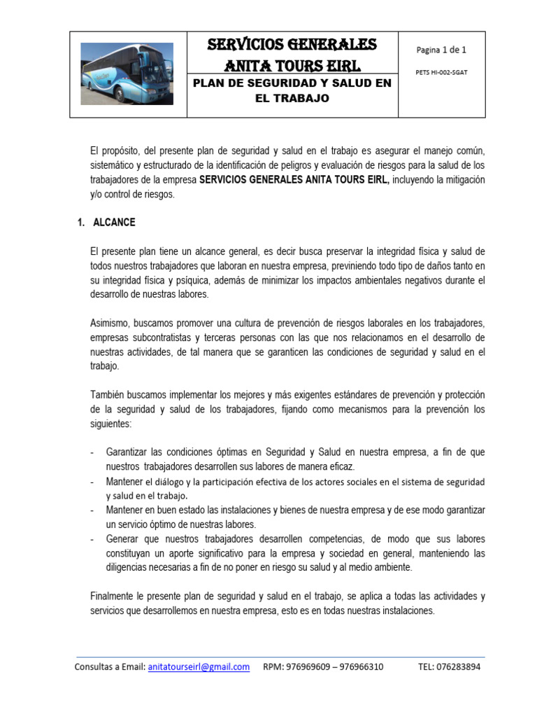 1 Plan de Seguridad y Salud en El Trabajo-2019 | PDF | Seguridad y ...
