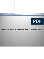 Reasons for Exchange Rate Fluctuation