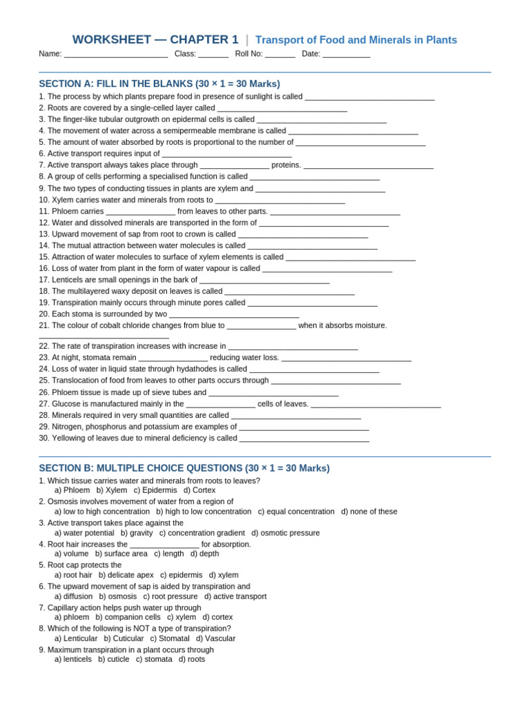 Ch1 Transport of Food and Minerals Worksheet 1 | PDF | Root | Stoma