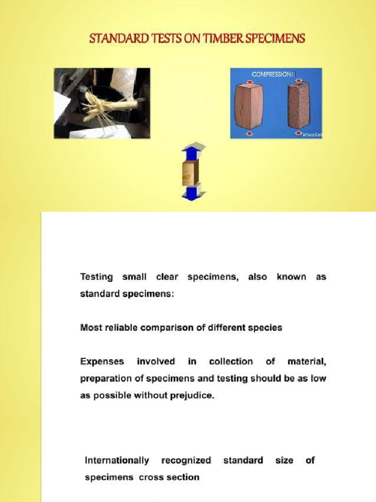 Standard Timber Specimens | PDF