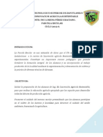 Informe Final Parcela 2012-A