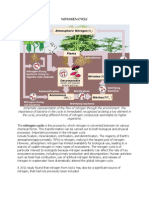 Nitrogen Cycle