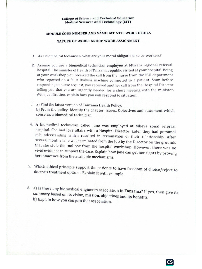 Work Ethics Assignment | PDF