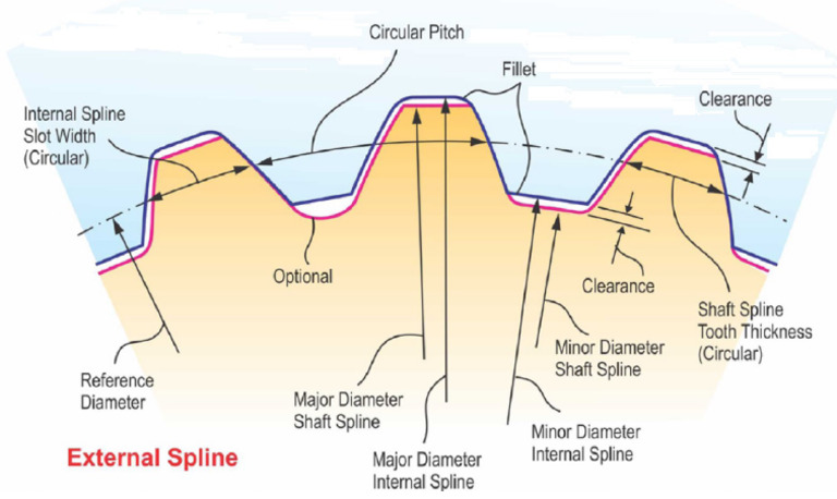 Spline | PDF