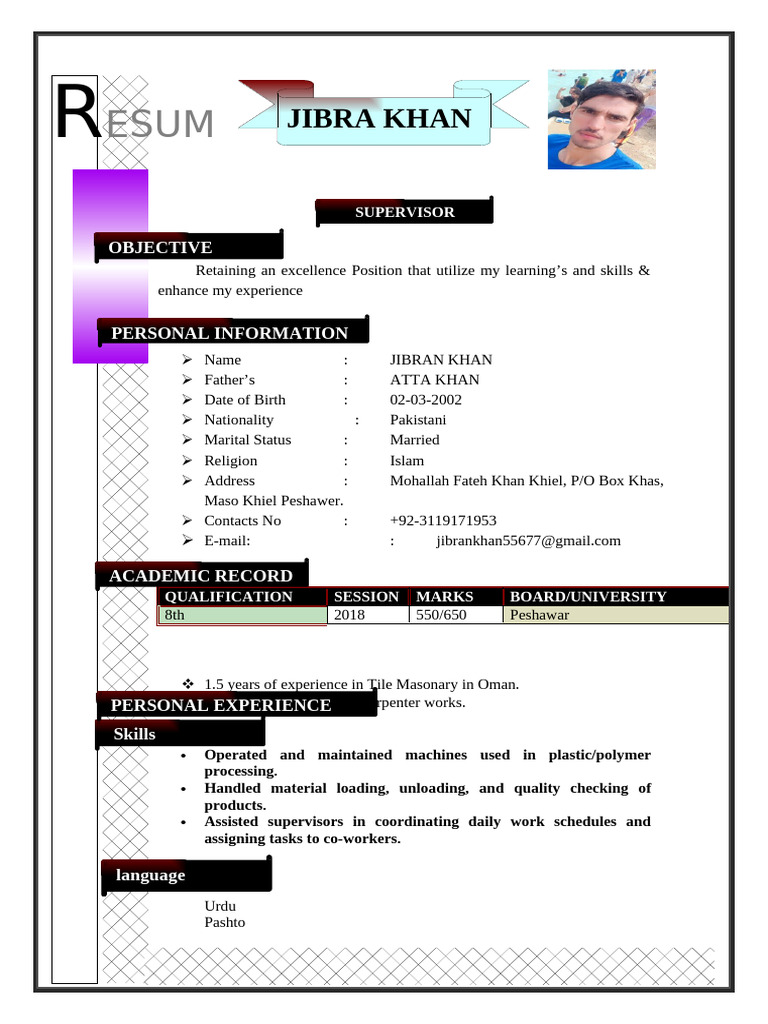 CV Format - Copy | PDF