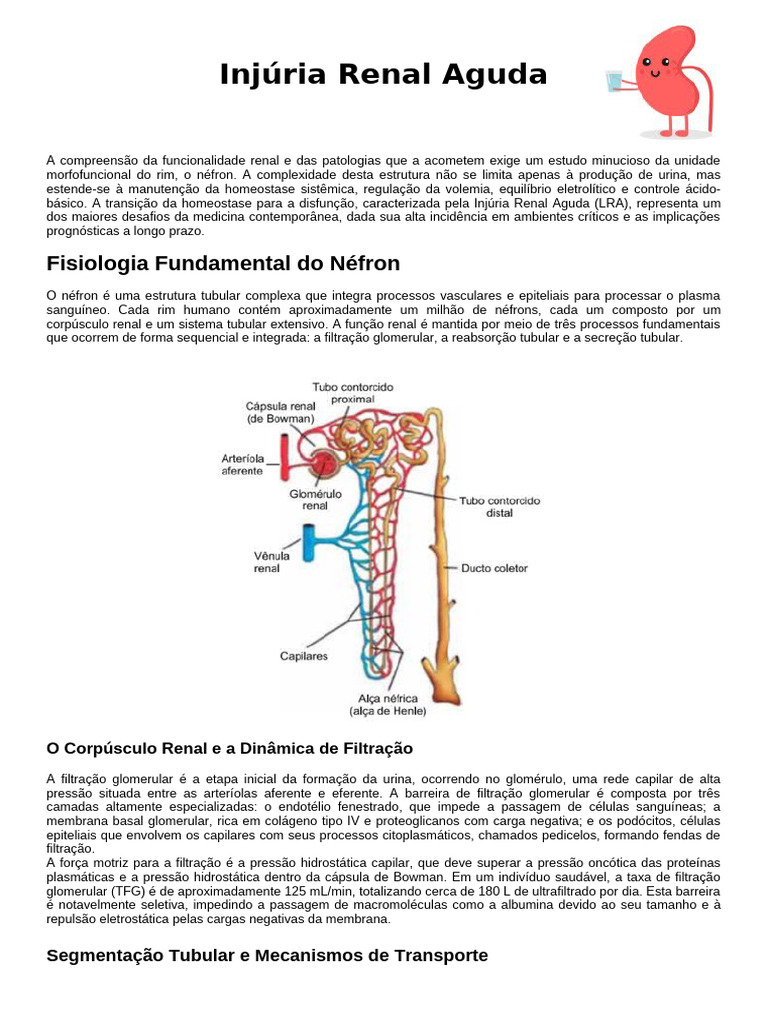 Injúria Renal Aguda | PDF | Rim | Especialidades médicas