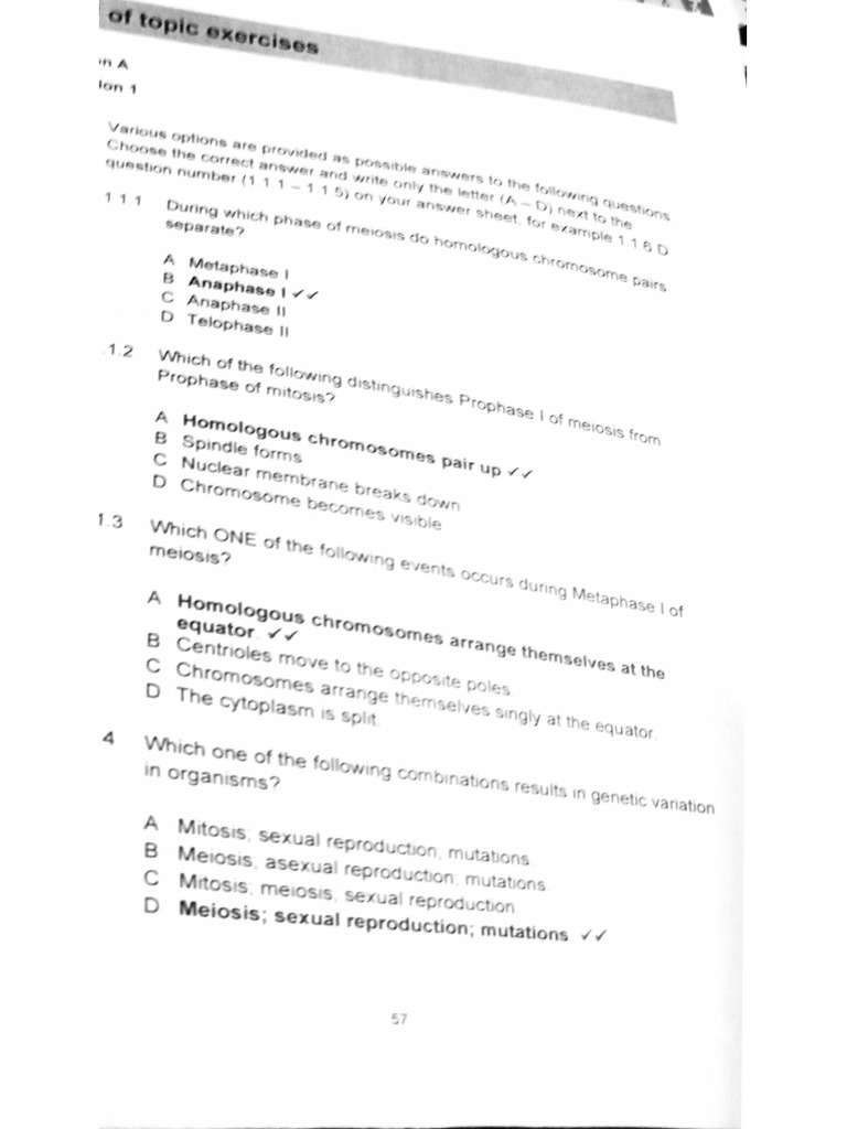 Document | PDF