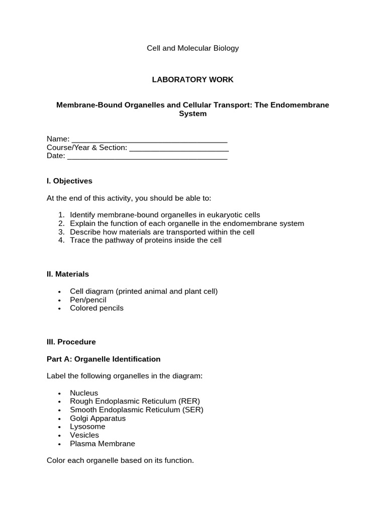 Chapter 5 Lab | PDF