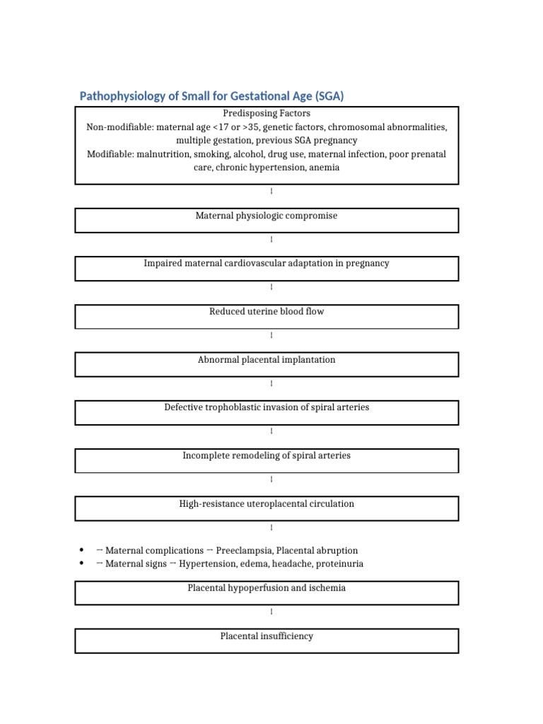 SGA_pathophysiology_boxes | PDF | Fetus | Medical Specialties
