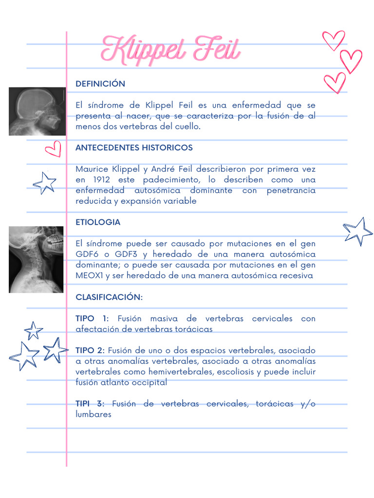 Resumen Kippel Feil | PDF