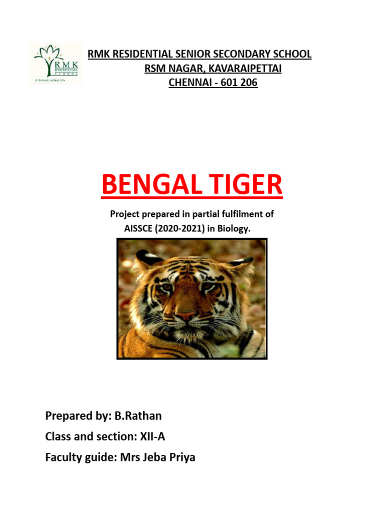 Biology Project Class XII by B.rathan | PDF | Conservation Biology | Tiger