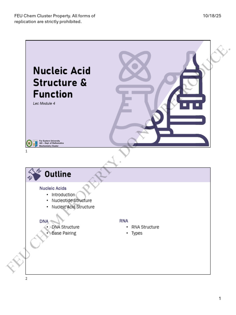 04+Nucleic+Acid+Structure+_26+Function | PDF | Rna | Nucleotides