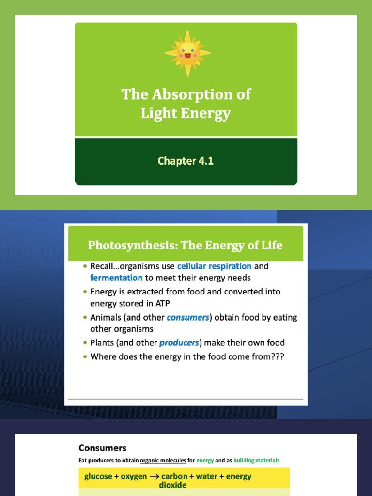 4.1 - Absorption of Light Energy | PDF