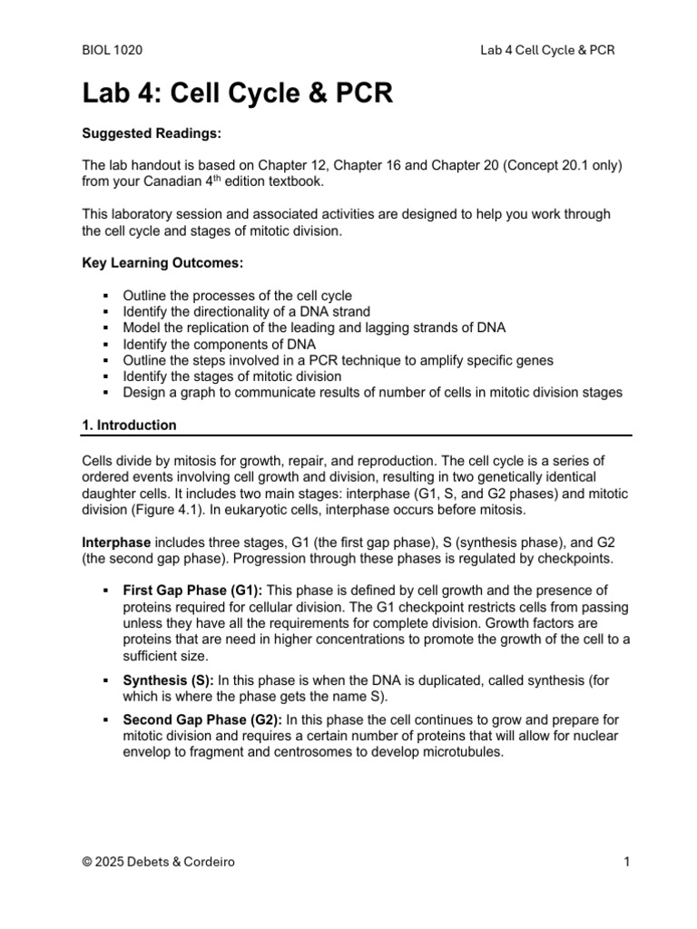 BIOL 1020 Lab 4 Handout.F25 | PDF | Dna Replication | Primer (Molecular ...