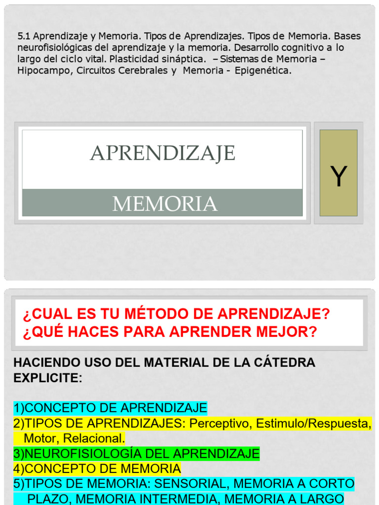 Aprendizaje y Memoria (5.1) | PDF | Memoria | Aprendizaje