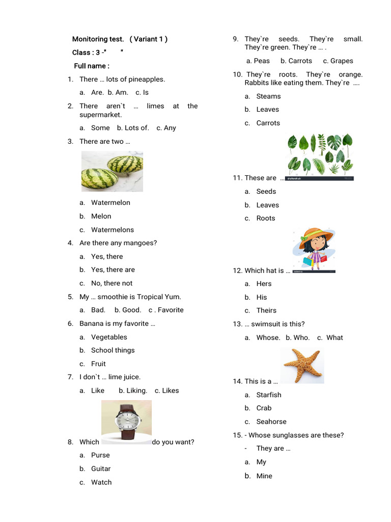 Class 3 Variant 1 | PDF