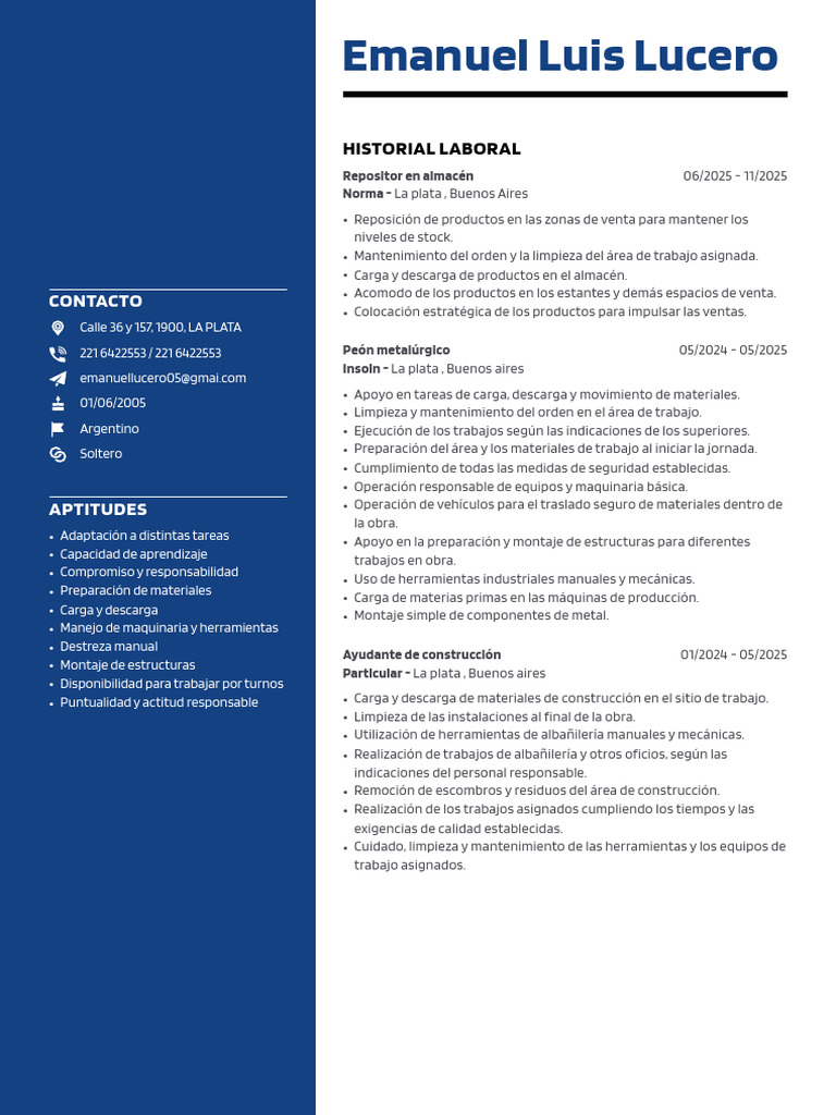 CV 2 | PDF