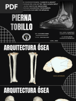 Anatomía y partes de la tibia | PDF | Anatomía humana | Anatomía del ...