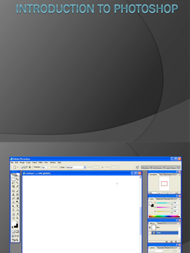 Introduction to Photoshop | PDF