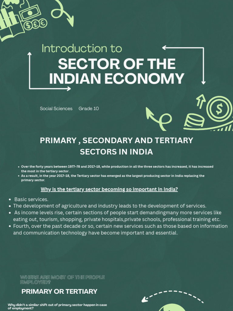 Sectors of the Indian Economy | PDF | Employment | Underemployment