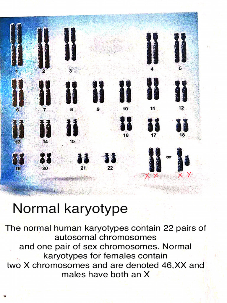 Genetics Charts | PDF
