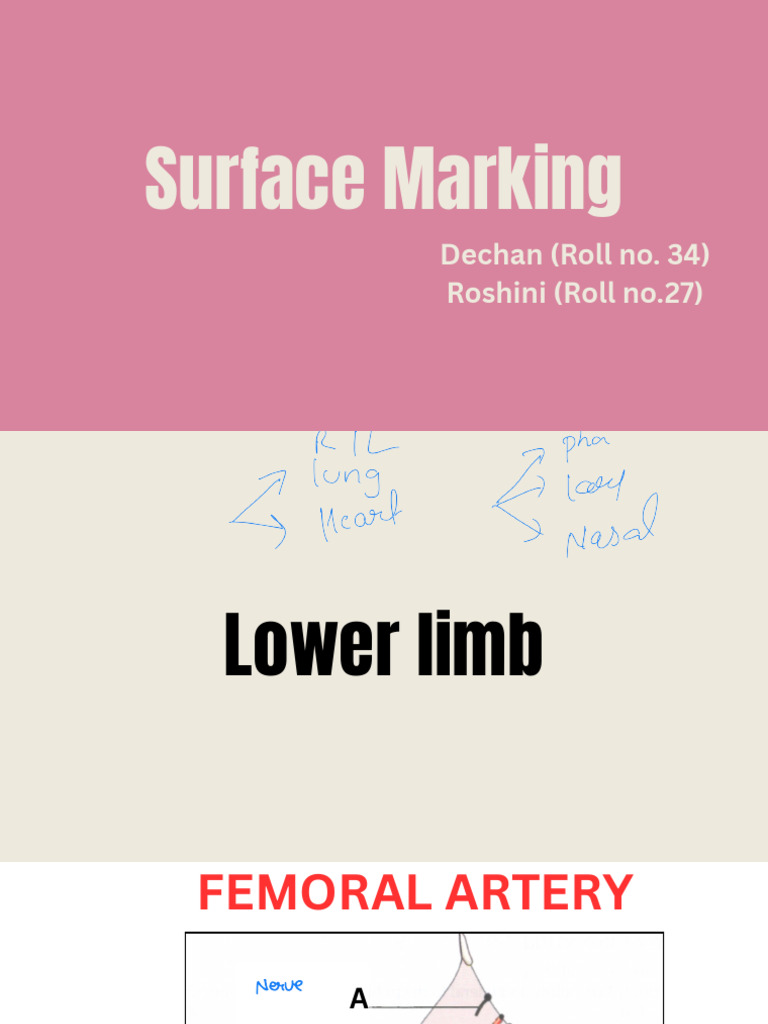 Surface Marking-2. | PDF