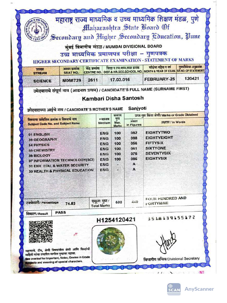 12th Marksheet Compressed | PDF