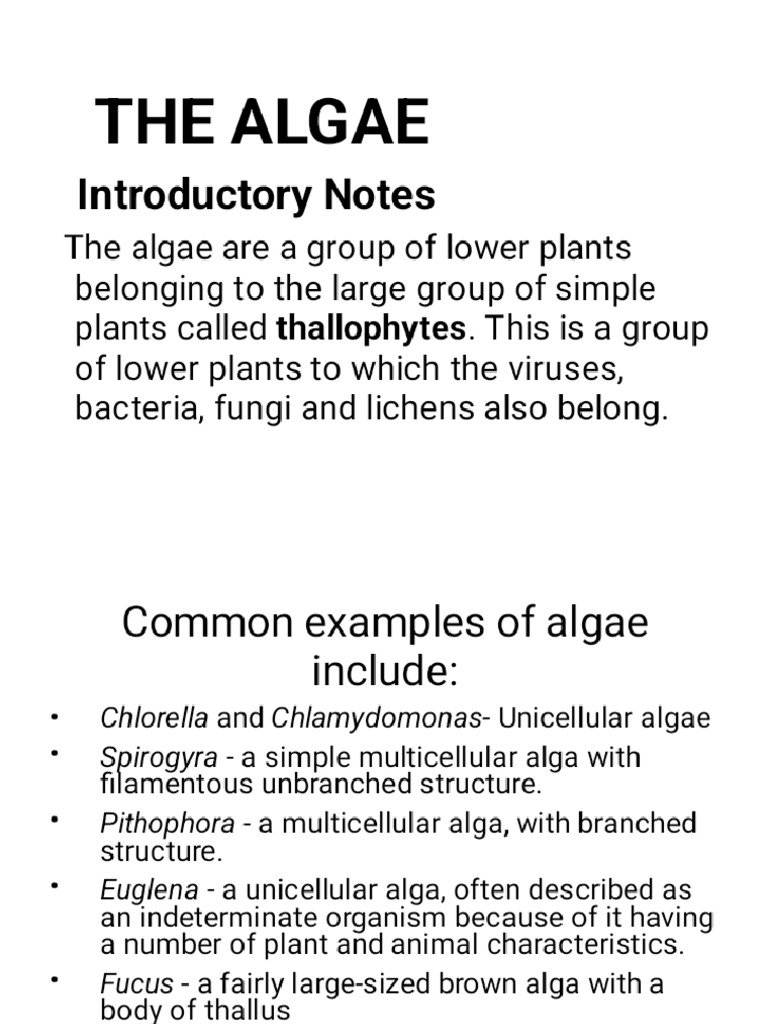 THE ALGAE (BOT 111) Lecture note_Phoenix | PDF