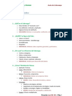 Guión Formación en Liderazgo - LMG12