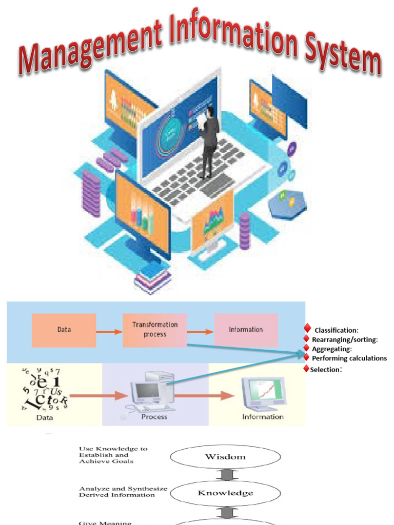 Management Information System Comprehesive | PDF | System | Information