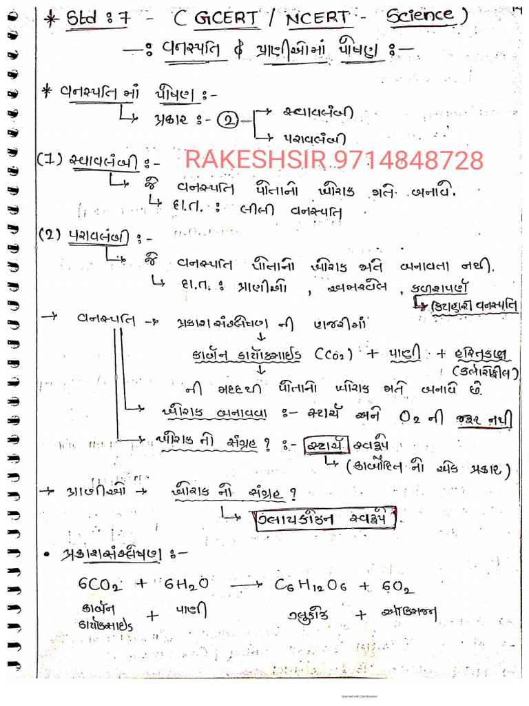 Std 7 Science | PDF