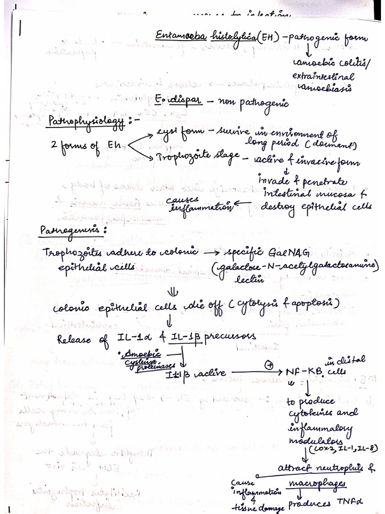 Hand Notes | PDF