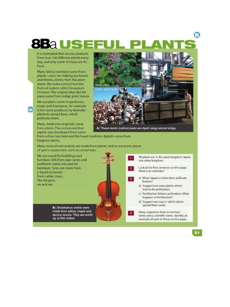 Plants Textbook Pages | PDF