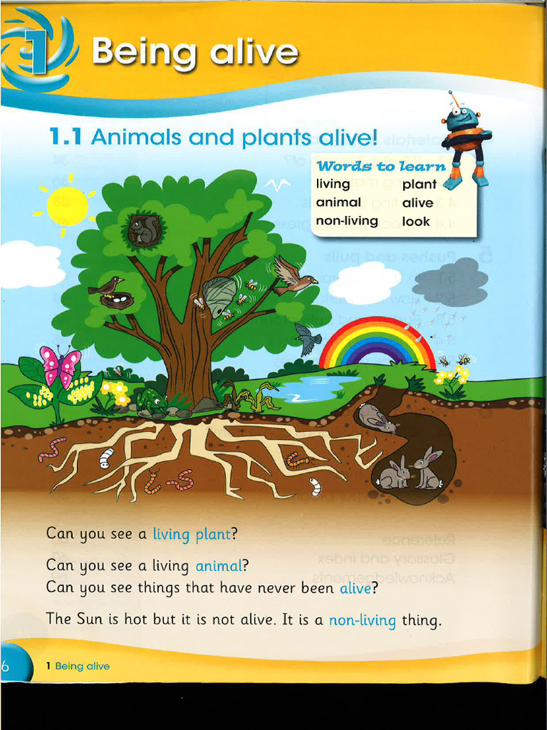 Year 1 Sci LB Unit 1 | PDF