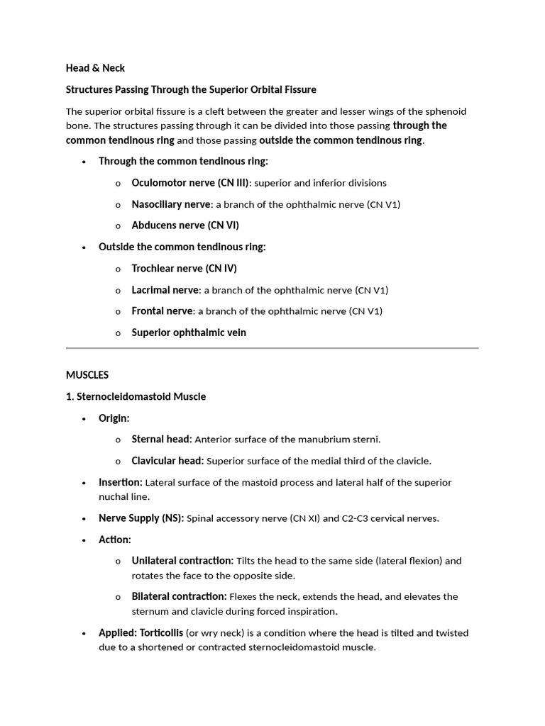 Head | PDF | Common Carotid Artery | Larynx