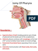 Anatomy of Pharynx