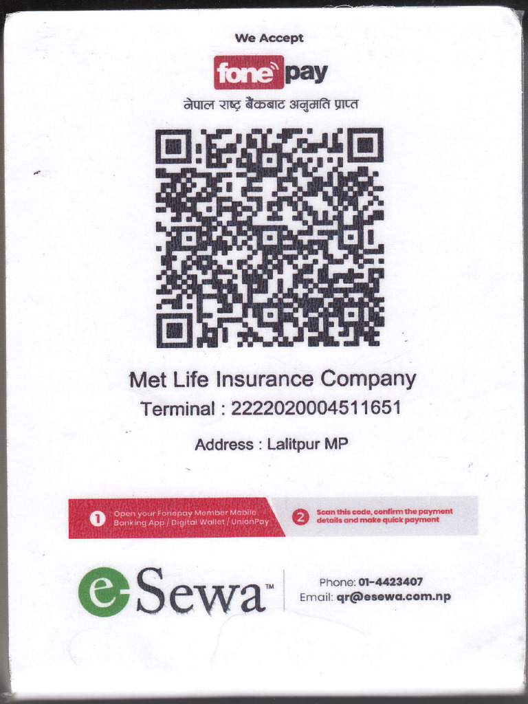 Fonepay Scan | PDF