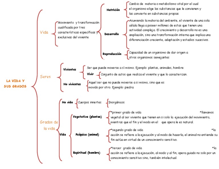 Cuadro Sinoptico GRADOS de LA VIDA