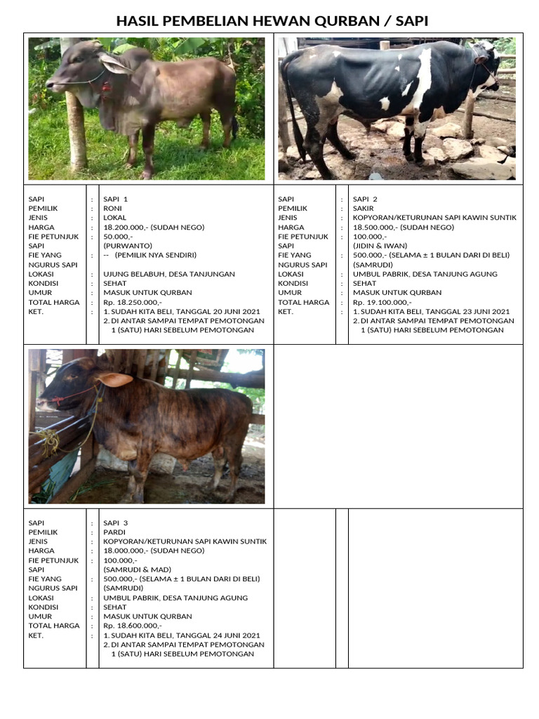 Hasil Pembelian Hewan Qurban Atau Sapi Qurban 2021 | PDF