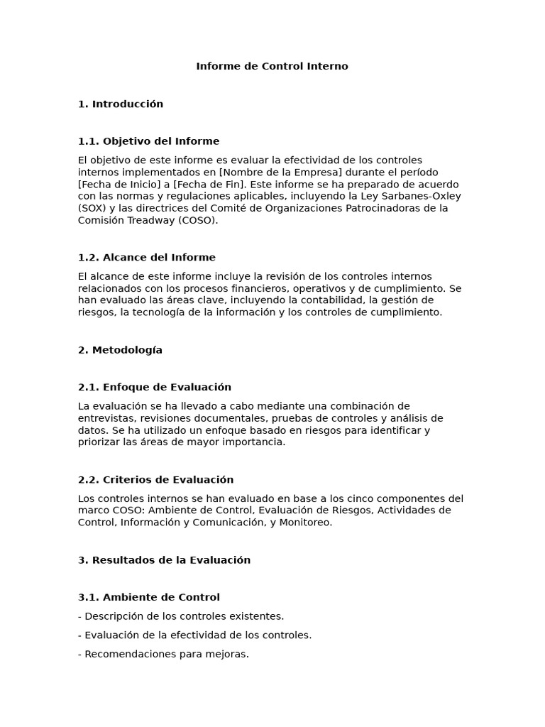 Informe de Control Interno | PDF | Business