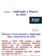 Replicacao e Reparo