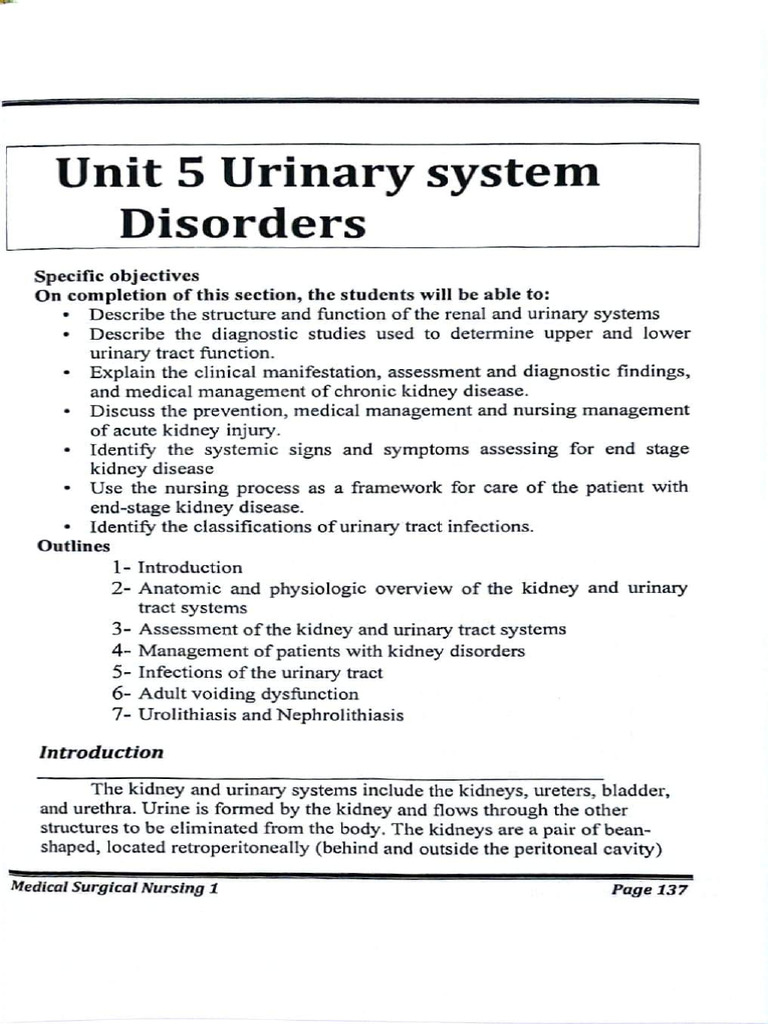 Urinary System Disorders | PDF | Urinary Tract Infection | Kidney