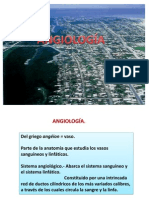 ANGIOLOGÍA