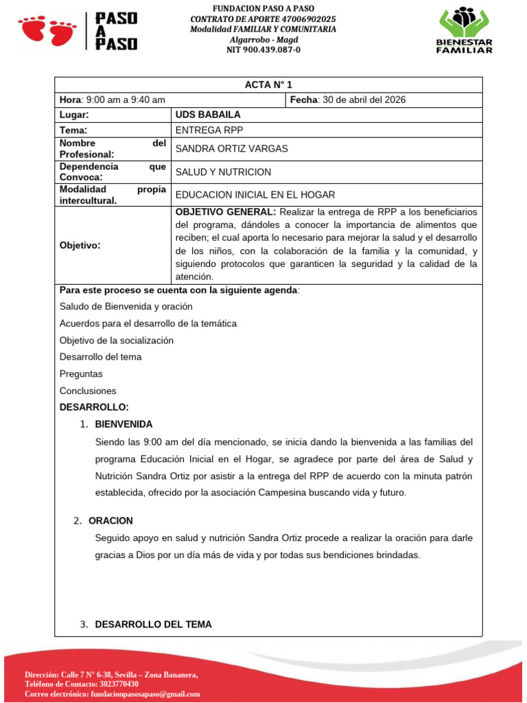 RPP - copia | PDF | Alimentos | Nutrición