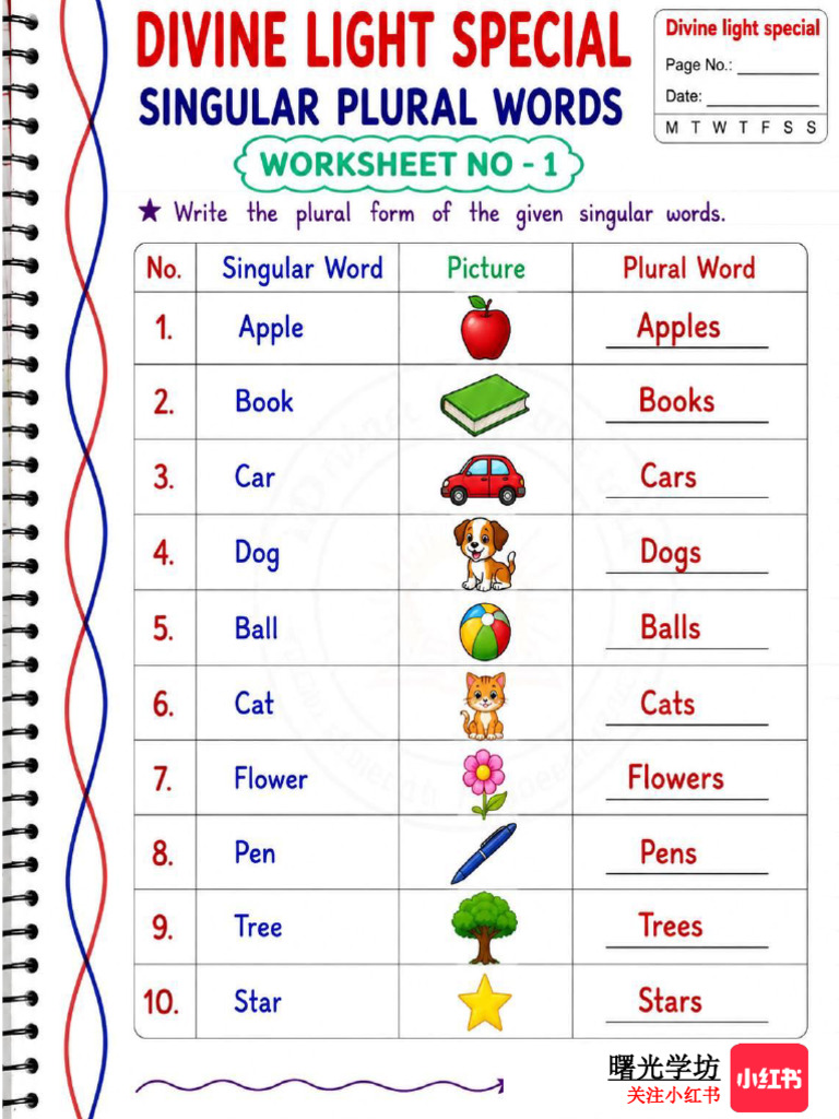 English Grammer - Plural Worksheets（ANSWER） | PDF