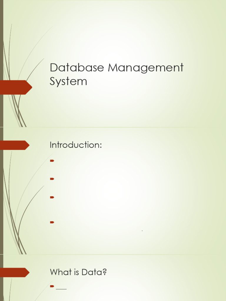 Database Management System | PDF | Databases | Database Index