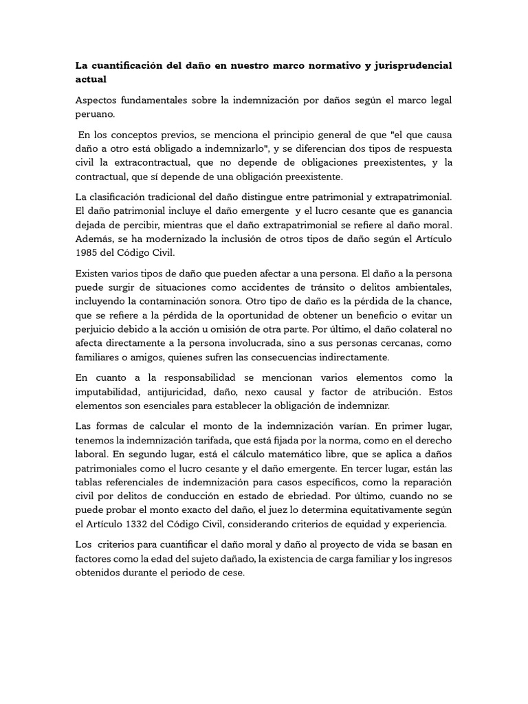 Resumen de La Ponencia | PDF | Daños y perjuicios