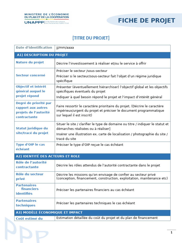 Modèle Type Fiche de Projet | PDF