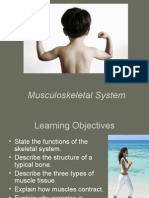 Musculoskeletal System